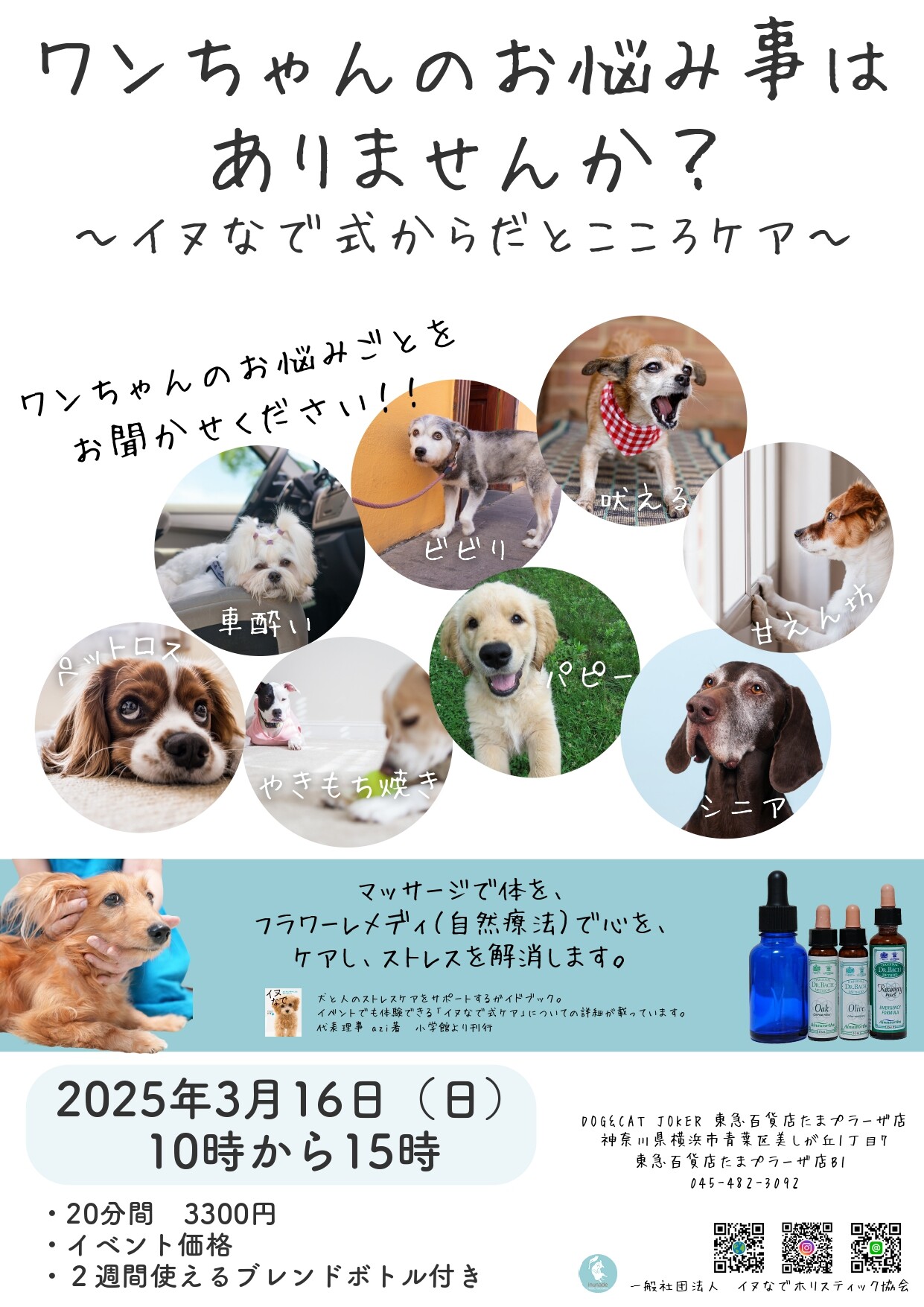 ワンちゃん食事療法 Amazon | 【獣医師監修】ワン寿 わんじゅ 小型犬用 ふりかけ型