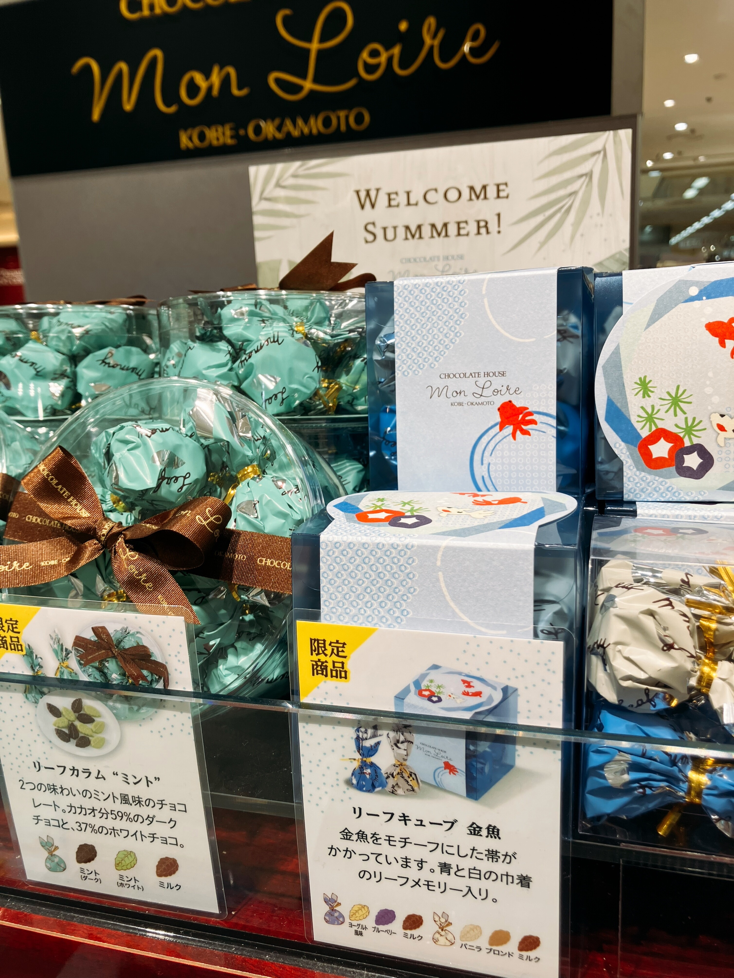 Welcome Summer！リーフキューブ金魚🐠&リーフカラムミント