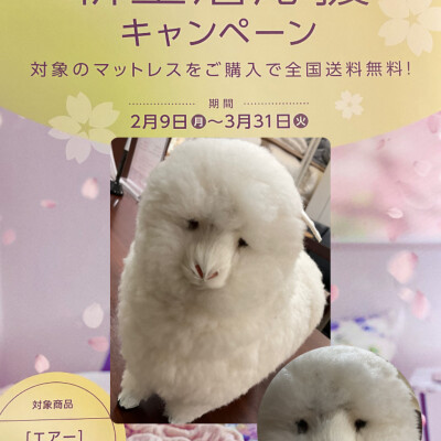 新生活応援キャンペーン実施中