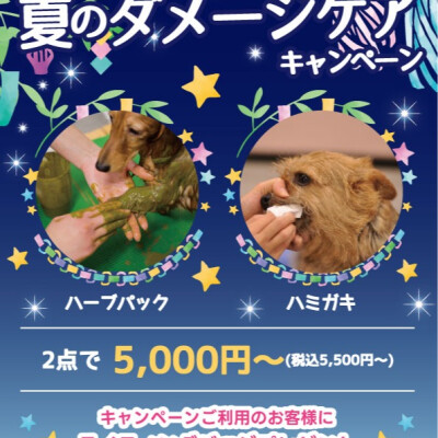 ジョーカーたまプラーザ店限定❗7月トリミングキャンペーン❗