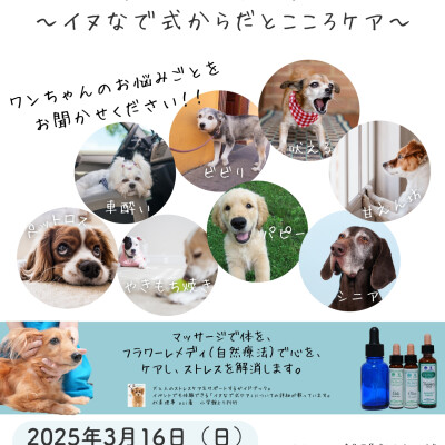 aziさんによるドッグマッサージ🐶　わんちゃんのストレスケア✨