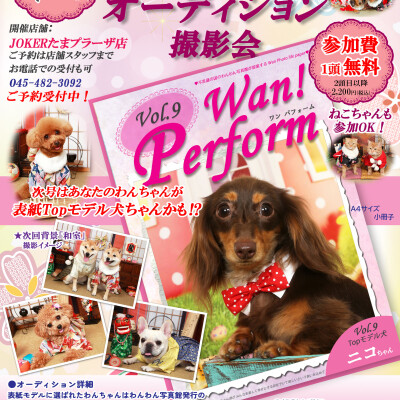 わんちゃん🐶ねこちゃん🐱のオーディション撮影会✨