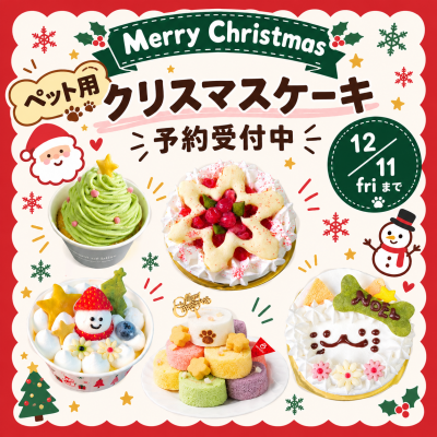 わんちゃんねこちゃん用クリスマスケーキ＆お惣菜ご予約スタート🎂✨