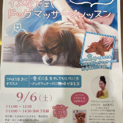 9/6（土）aziさんによるドッグマッサージ🐶　わんちゃんのストレスケア✨