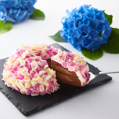 【限定販売】てまり花