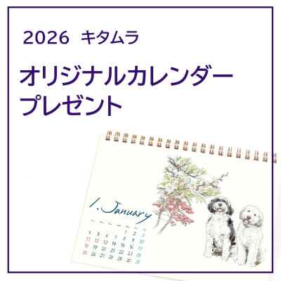 【ノベルティプレゼント】キタムラオリジナルカレンダー！