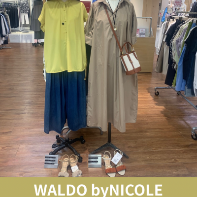 ＷＡＬＤＯマルチアート柄ブラウス入荷致しました。